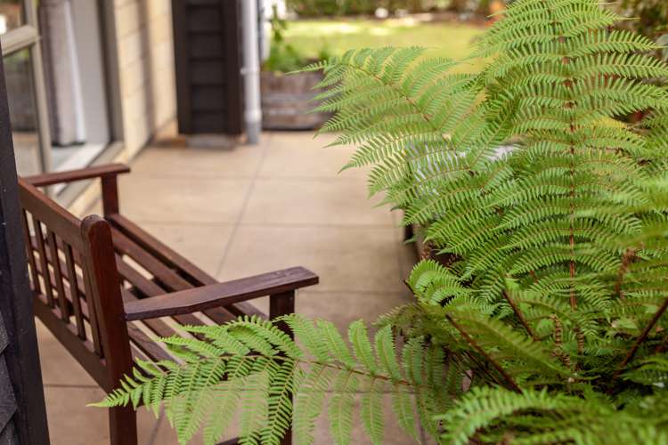 7 Jade Lane Paraparaumu_6