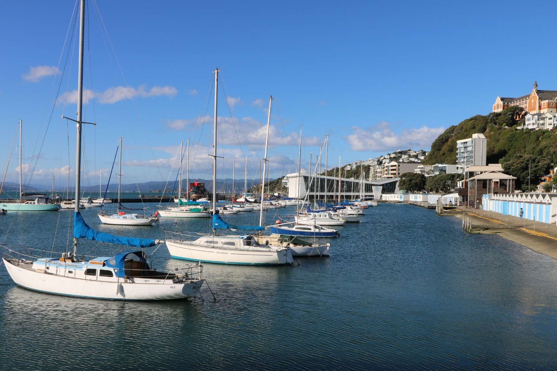 3/48 Oriental Parade Oriental Bay_0