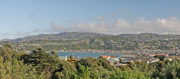 49 Sidlaw Street Strathmore Park_19