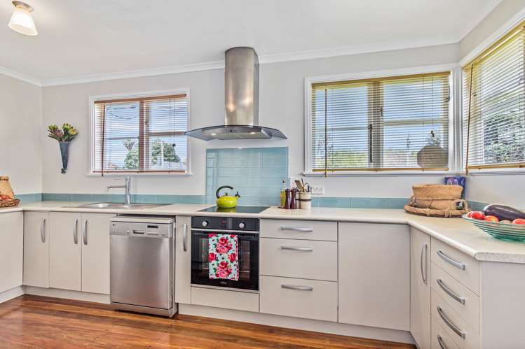 21 Larsen Road Panmure_6