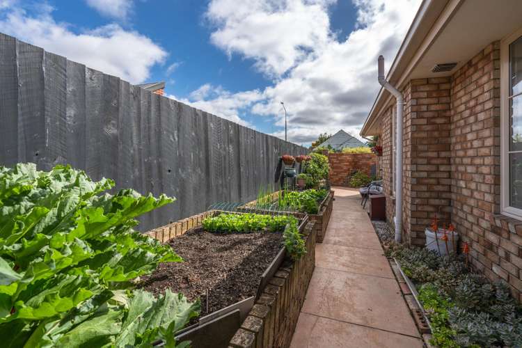 25A Strickland Street Somerfield_22