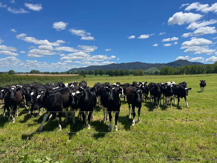 2875 Tahuna-Ohinewai Road Tahuna_15