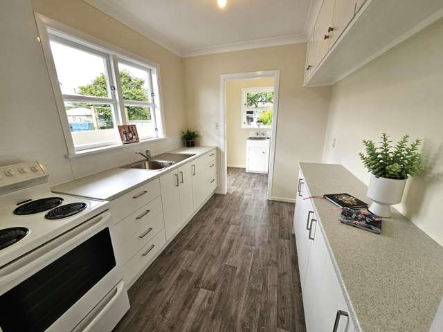 174 Cambridge Street Levin_1