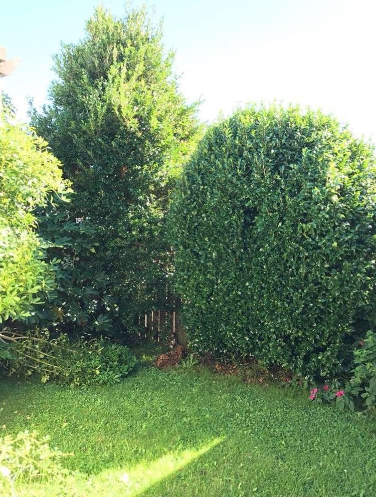 1/21 Mcleod Road Manurewa_11