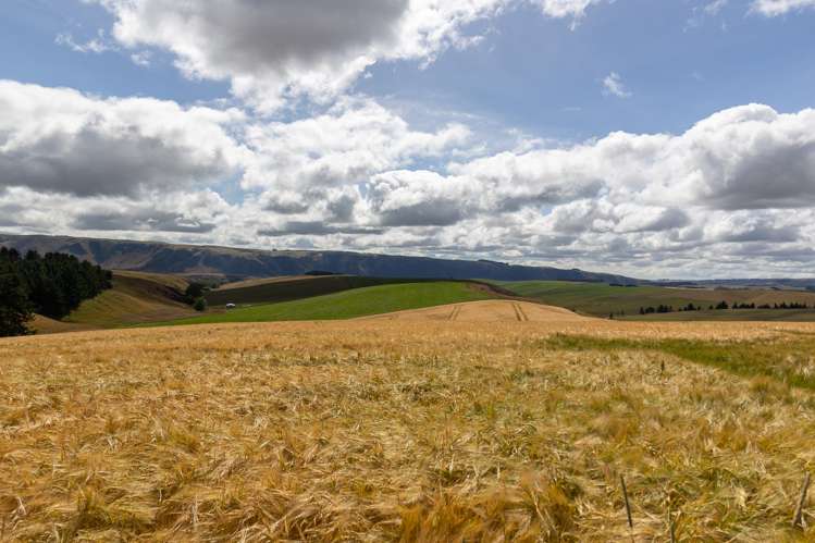 686 Rocky Gully Road Albury_13