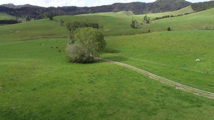 807 Puketona Road Haruru_1