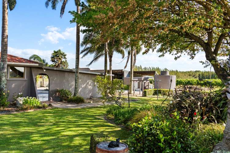 35 Bond Road Ormond_18