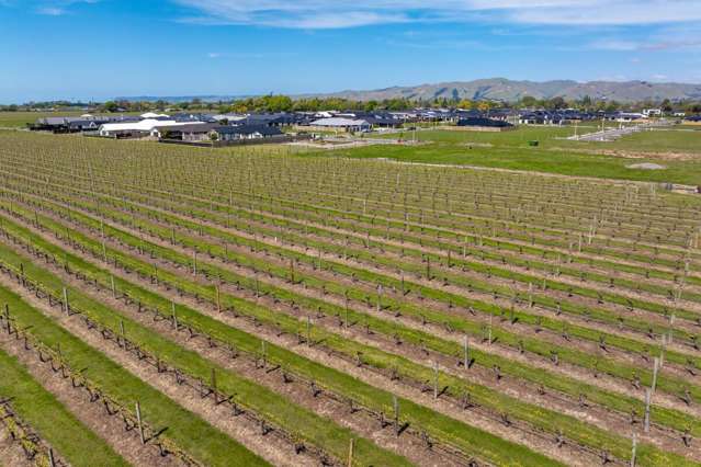 56 Thomsons Ford Road Rapaura_3