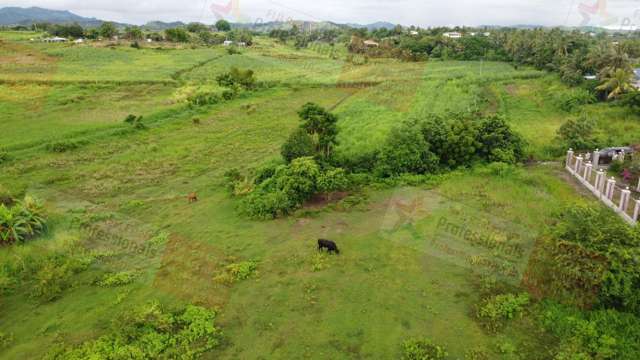 Address withheld Sonaisali_4