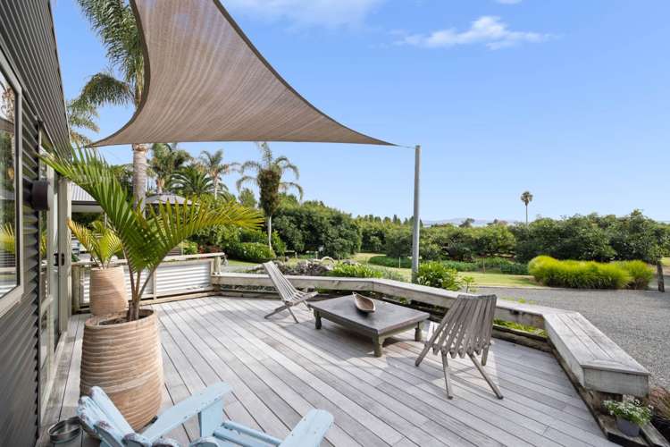 317 Pahoia Road Whakamarama_17