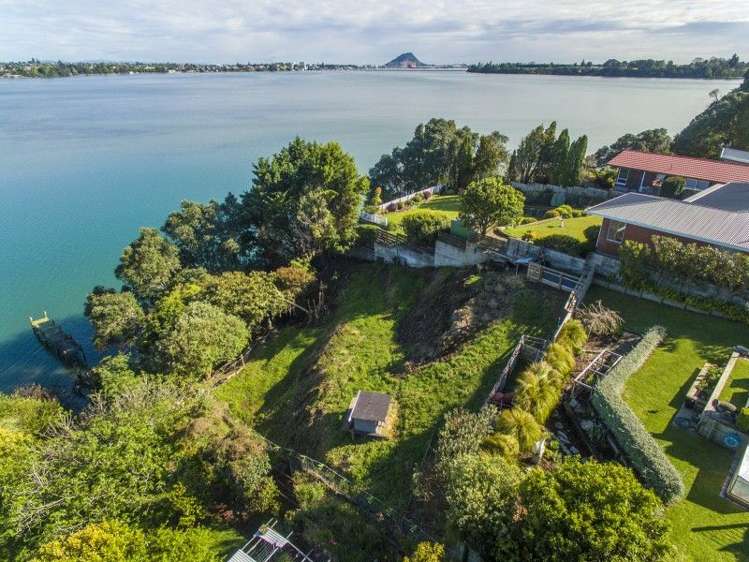 340B Maungatapu Road Tauranga South_12