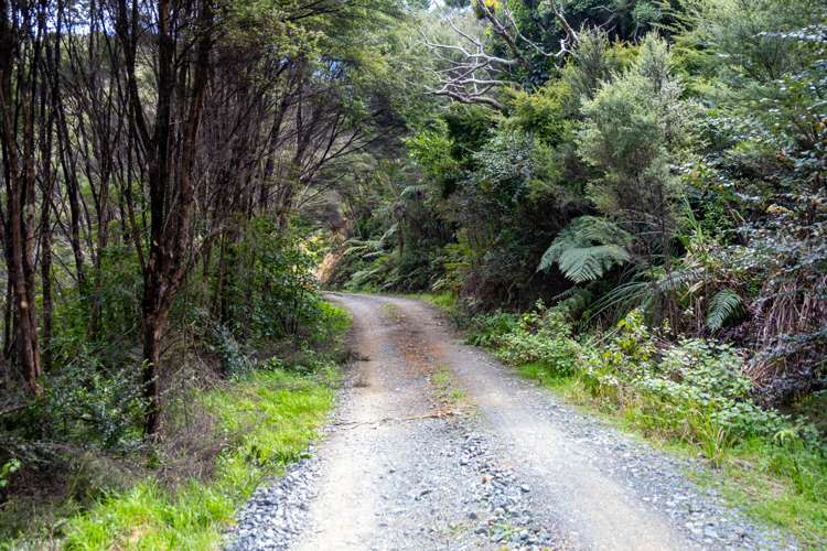 Lot 4 Gates Way Totara North_7