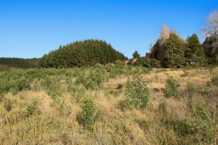 2814 State Highway 30 Rotoma_5