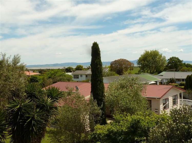 112 Totara Close Thames_36