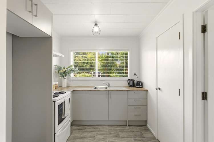 1/24 Hori Street Vogeltown_5