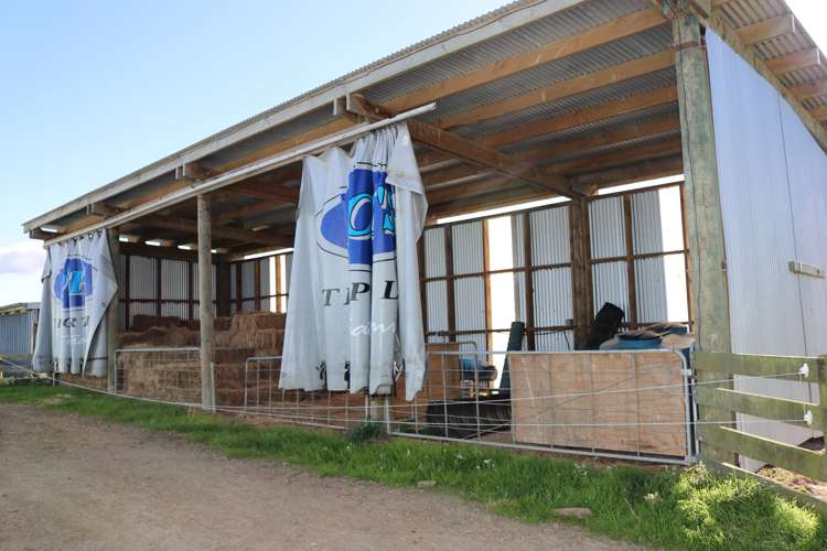 758 Mclaren Falls Road Kaimai_17