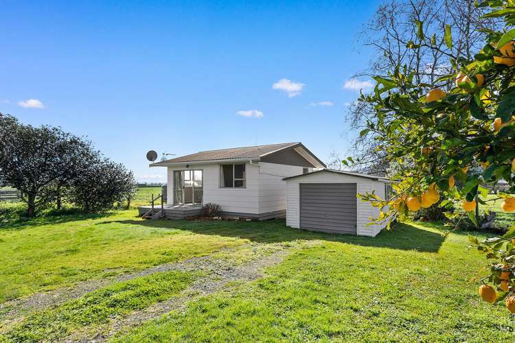 137 Seddon Road_5
