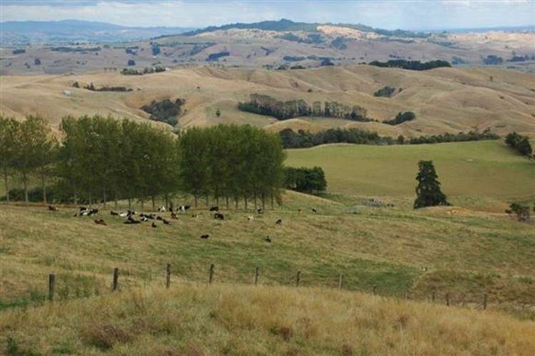 Waiti Road Tahuna_36