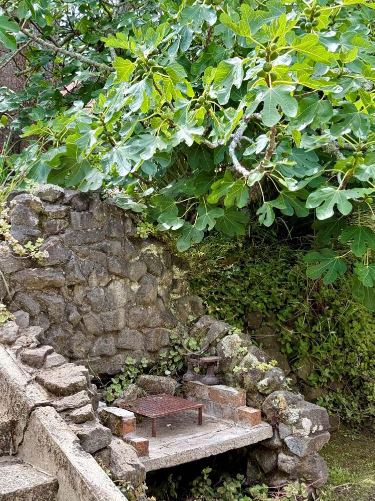 40 Yarborough Street Kohukohu_17