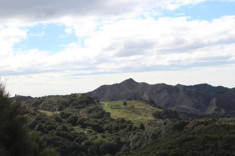 299 Branscombe Road Pongaroa_14