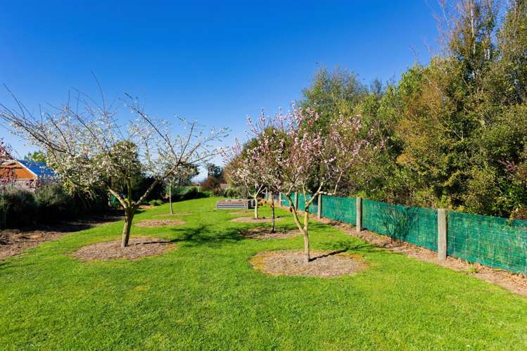 238a Mt Fyffe Road Kaikoura_28