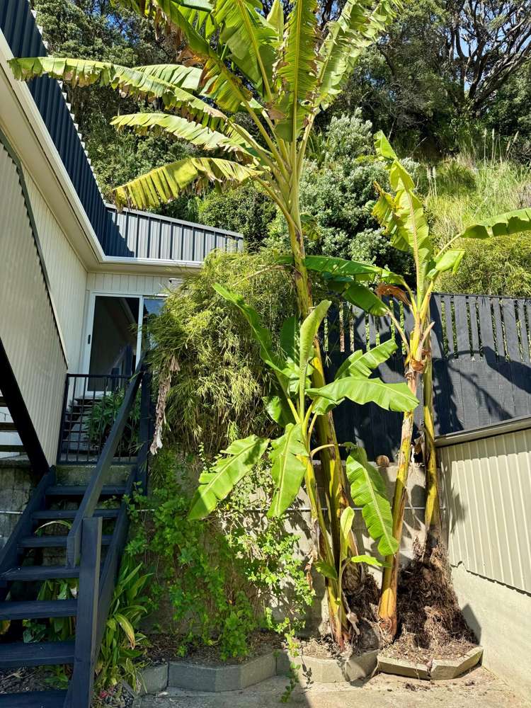 126 Pohutukawa Avenue Ohope_27