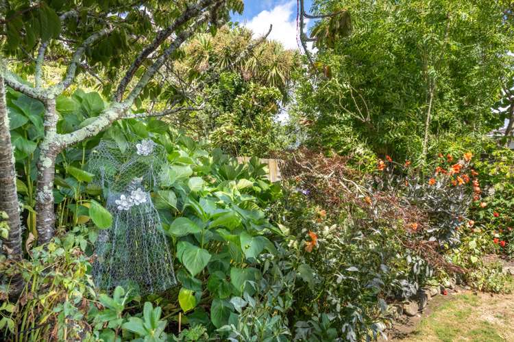 4 Alexander Place Otaki_22