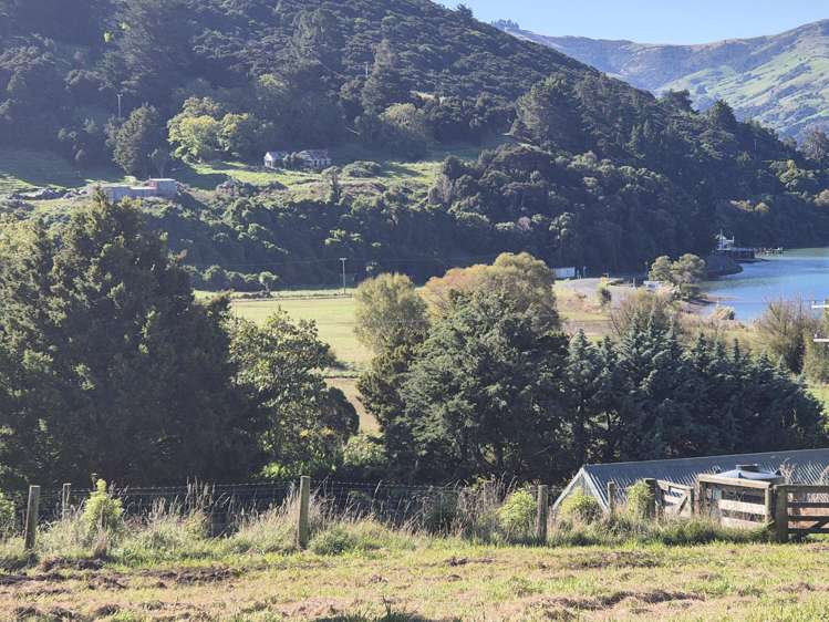 282 Wainui Main Road French Farm_11