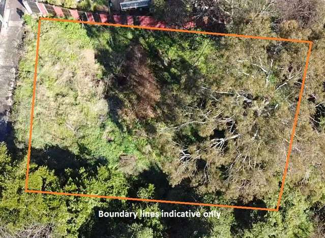 North Facing Section in Port Chalmers