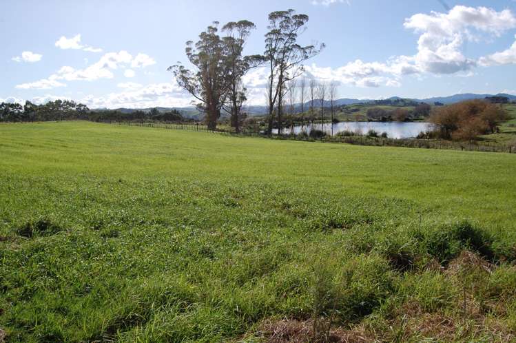 96 Rangiora Road Kaiwaka_10