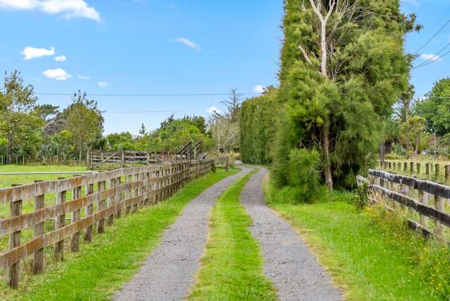 331 South Head Road, South Head Helensville_1
