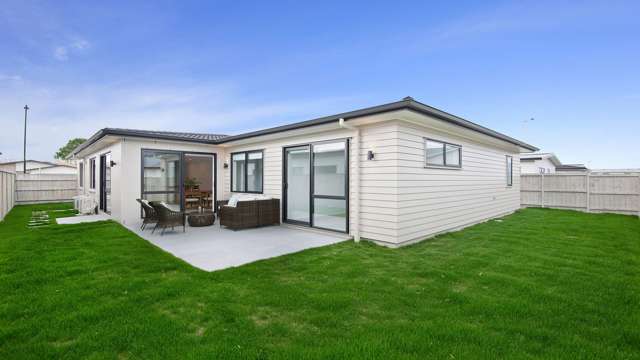 53 Nganui Avenue Takanini_1