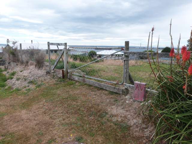 66 Shannon Street Bluff_4