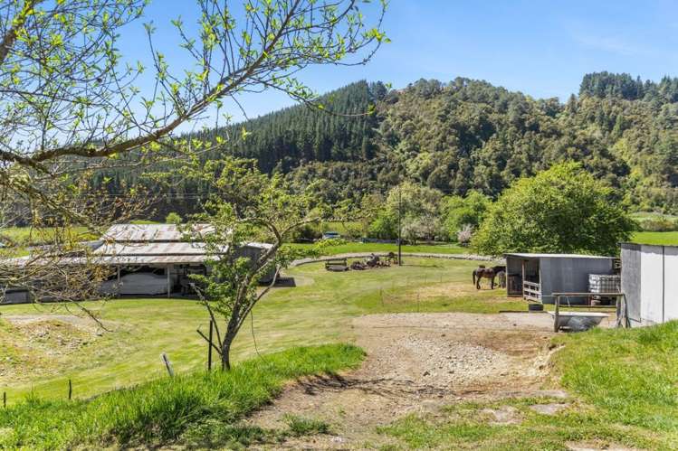 848 Dovedale Road Dovedale_15