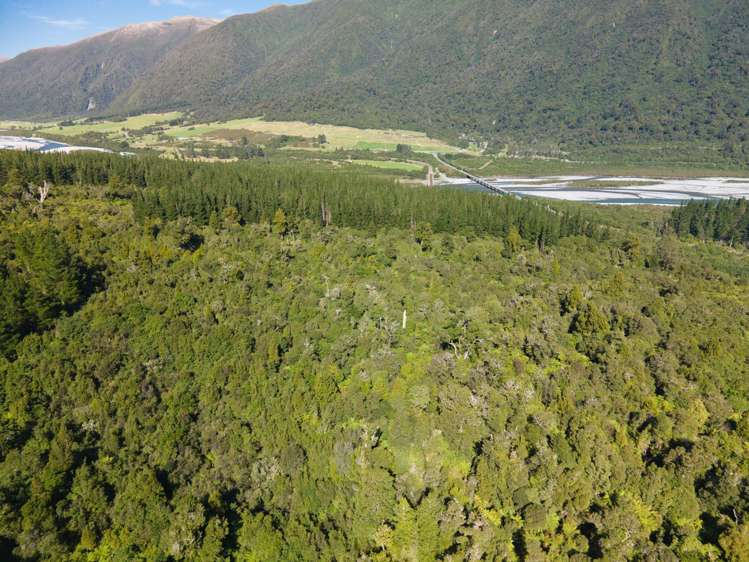 Bell Hill Road Inchbonnie_18