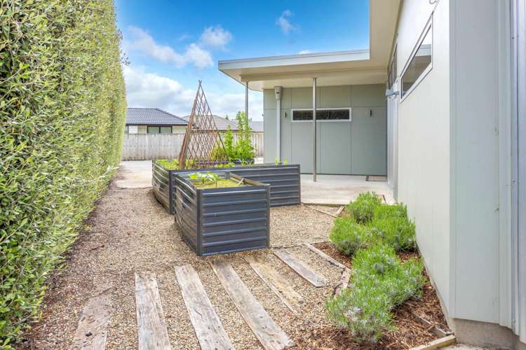 50 Ritchie Street Te Aroha_23