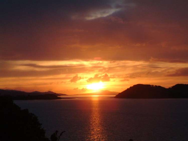 120 Kawakawa Bay Coast Road Kawakawa Bay_24