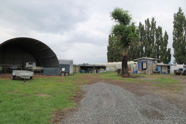 300 Seddon Road Waitoa_19