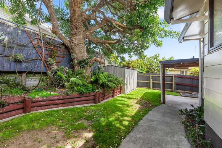40A Princess Road Bellevue_21