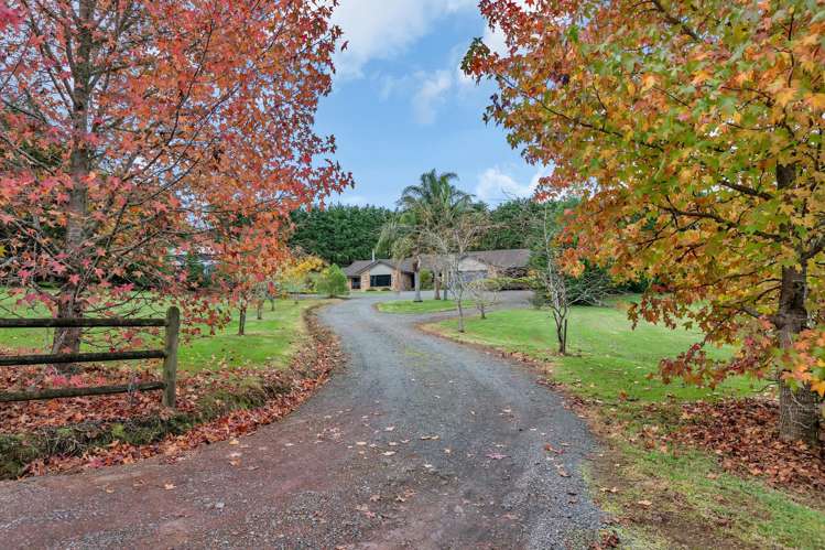 43 Roydon Drive Ruatangata West_5