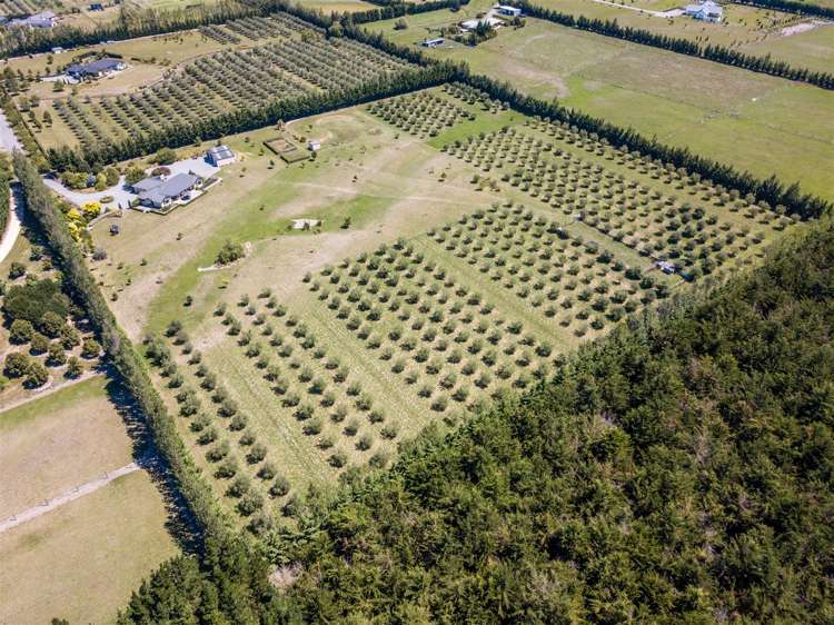 57 Alessio Lane Swannanoa_17