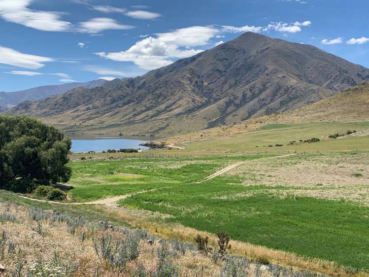 3570 Omarama-Otematata Road Otematata_7