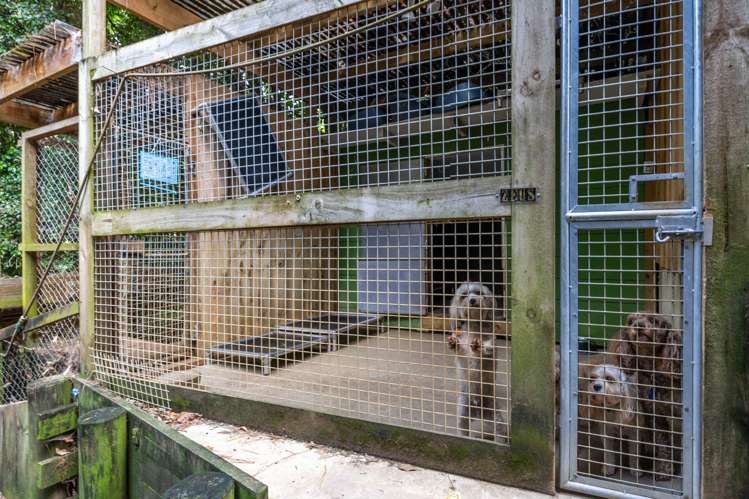 2 Cowan Bay Road Warkworth_43