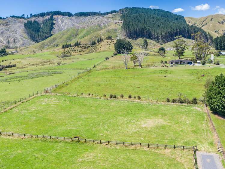 51 Gladstone Road Levin_5