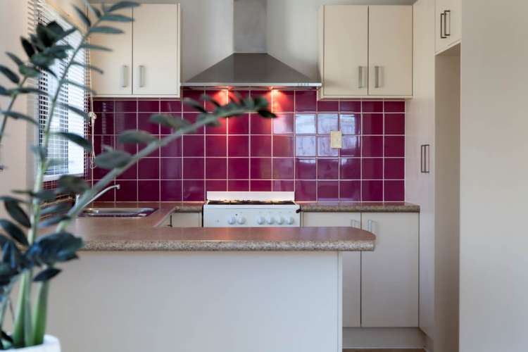 10a Eastdale Road Avondale_7