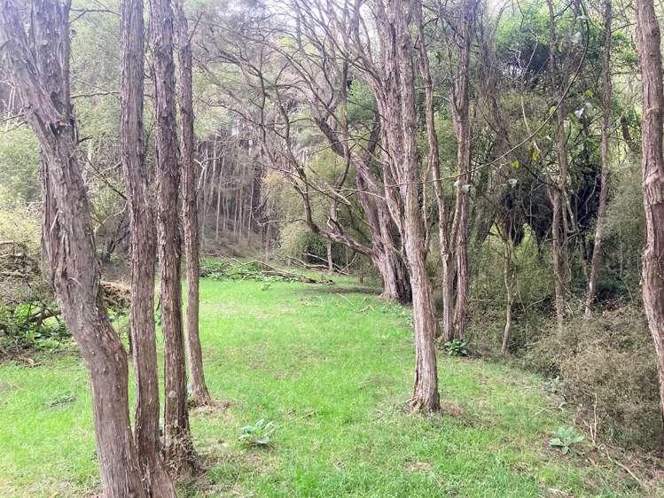 Duncan Road Hampden_9