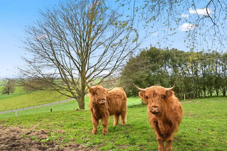 4683 Ohaupo Road Ohaupo_12