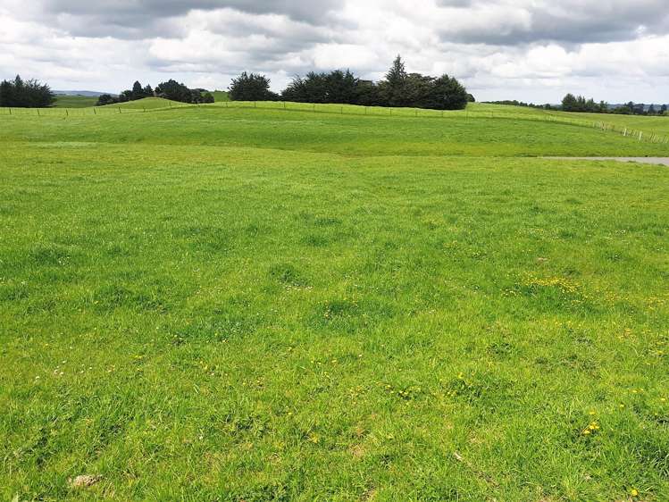 143C Smith Road Dannevirke_5