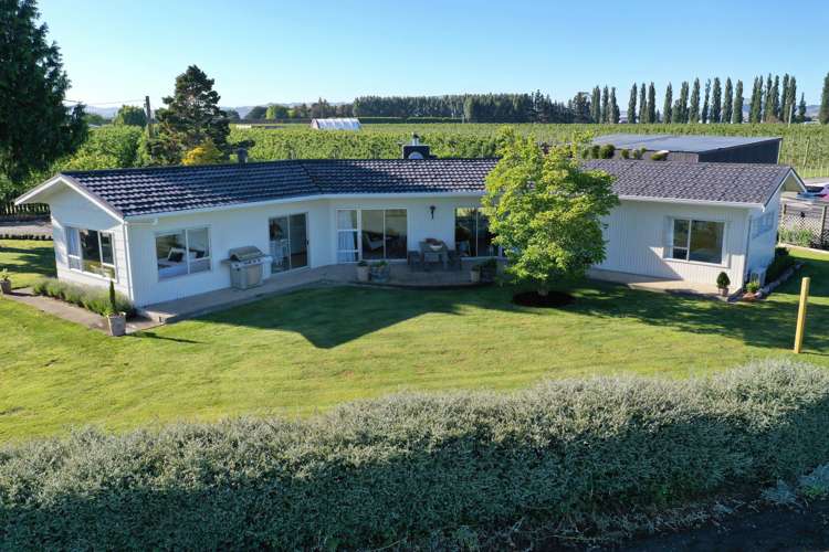 133 York Road Longlands_18