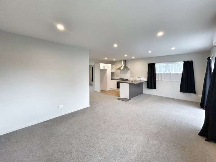 111A Pilkington Road Panmure_5